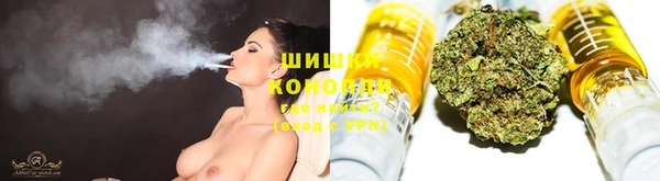 ГАЛЛЮЦИНОГЕННЫЕ ГРИБЫ Балабаново